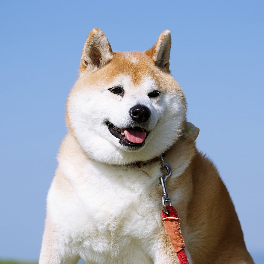 ライター