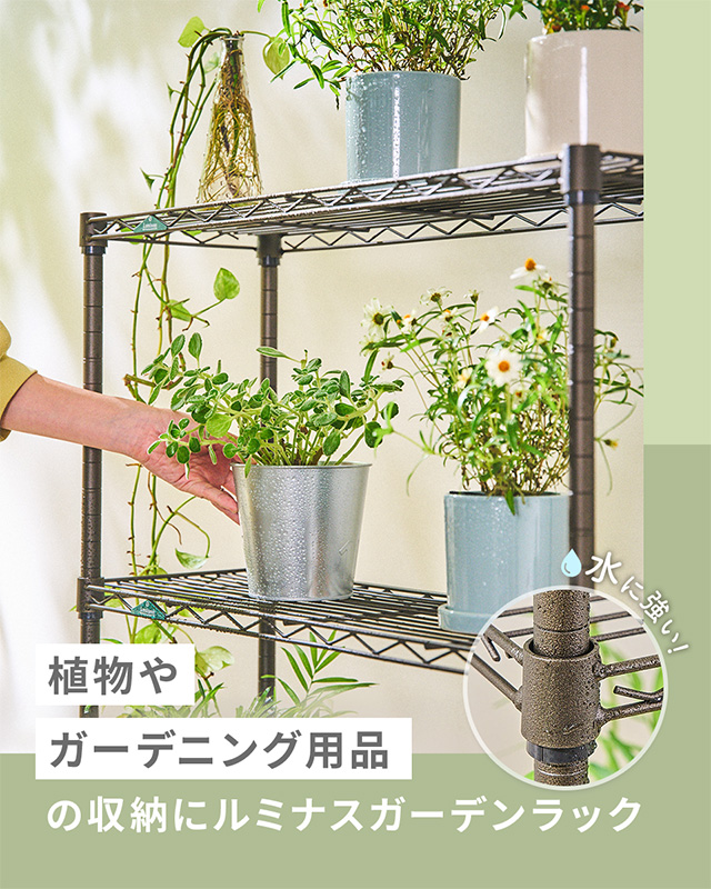 ルミナスガーデン を見る